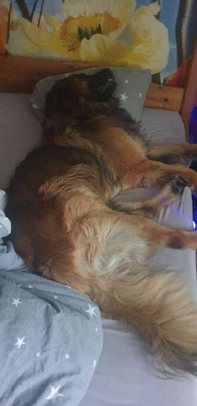 CHALLENGE NR. 34 - Liege-/Schlafpositionen-Beitrag-Bild