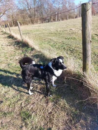 Doppelgänger gesucht !-Beitrag-Bild