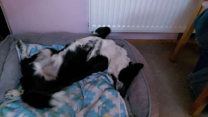 Die unbequemsten und lustigsten Schlafpositionen-Beitrag-Bild