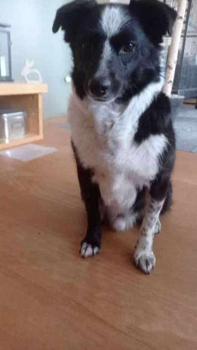 Doppelgänger gesucht !-Beitrag-Bild