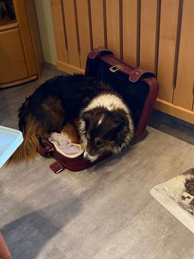 Lustige Grimassen & verrückte Posen-Beitrag-Bild