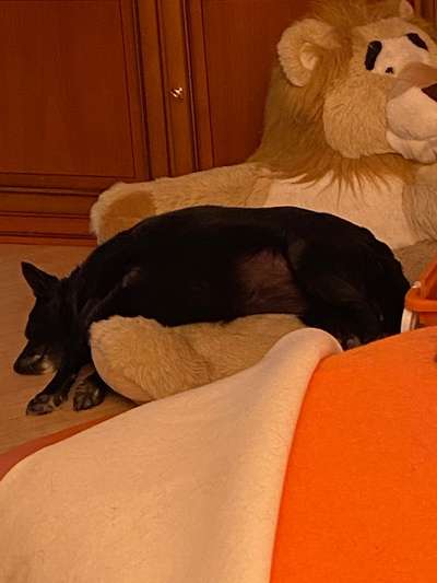 Lustige Grimassen & verrückte Posen-Beitrag-Bild