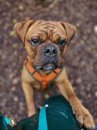 147. Foto Challenge: Bettelblick-Beitrag-Bild