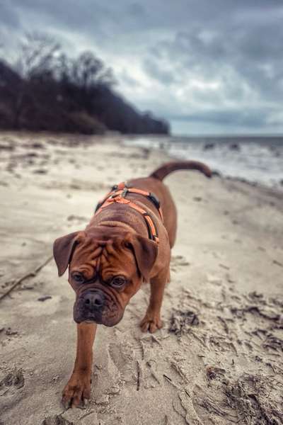 Urlaub in Dänemark-Beitrag-Bild