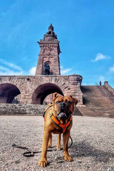 151. Photo Challenge: Sehenswürdigkeiten-Beitrag-Bild