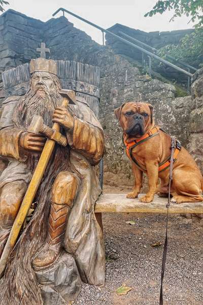 82. Foto Challenge: Skulptur/ Denkmal-Beitrag-Bild