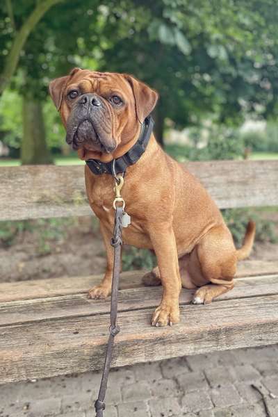 Conti Besitzer? :-)-Beitrag-Bild