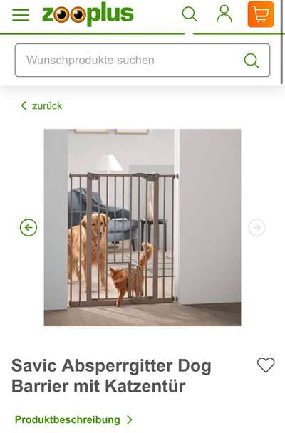 Hund Frisst Katzenexkremente und Streu-Beitrag-Bild