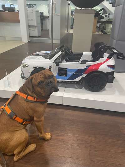 56. Handy Foto Challenge - Grosse Maschinen-Beitrag-Bild