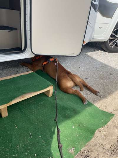 140. Foto Challenge - schattiges Plätzchen-Beitrag-Bild