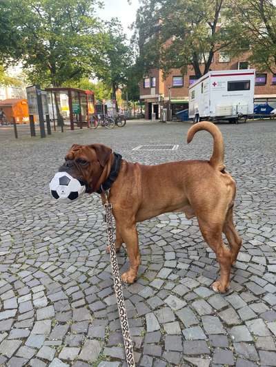 Conti Besitzer? :-)-Beitrag-Bild