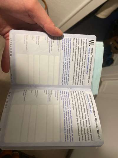 Welpenimpfung Tierarzt will 3x Impfen-Beitrag-Bild