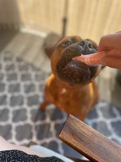 152. Foto Challenge: "Friss mir aus der Hand"-Beitrag-Bild