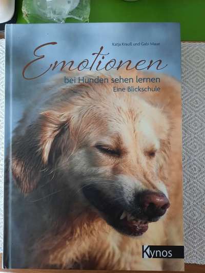 Verstehen der Hundesprache-Beitrag-Bild