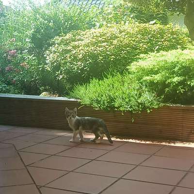 Was hat euch heute mit eurem Hund gefreut?-Beitrag-Bild