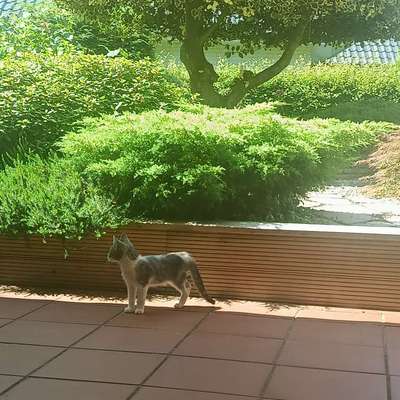 Was hat euch heute mit eurem Hund gefreut?-Beitrag-Bild