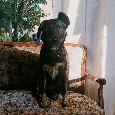 Luna's Profilbild