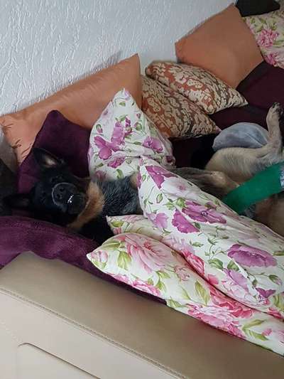 Die unbequemsten und lustigsten Schlafpositionen-Beitrag-Bild