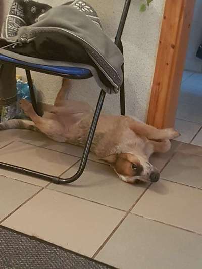 Die unbequemsten und lustigsten Schlafpositionen-Beitrag-Bild