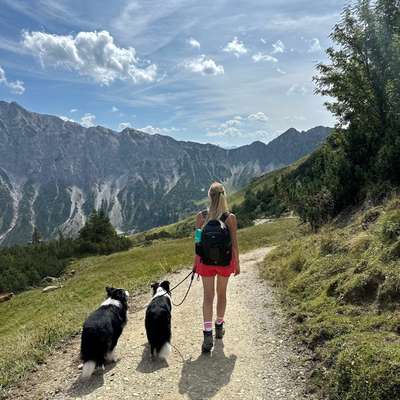 Hundetreffen-Social Walk-Bild