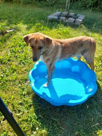 Handy-Foto-Challange Nr.9-Beitrag-Bild