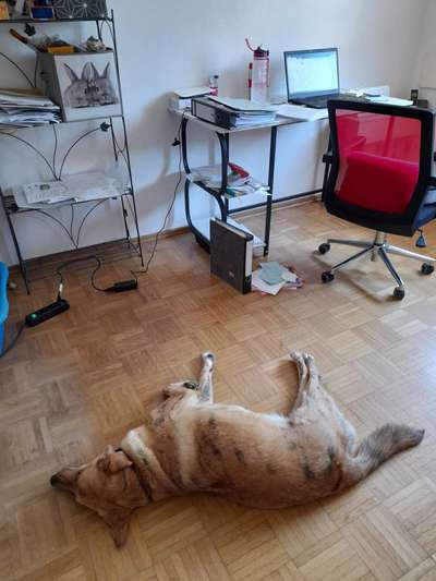 Zeigt her...-Beitrag-Bild