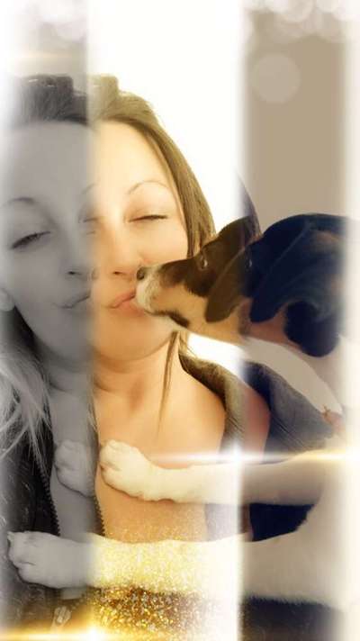 Warum liebst du deinen Hund?-Beitrag-Bild