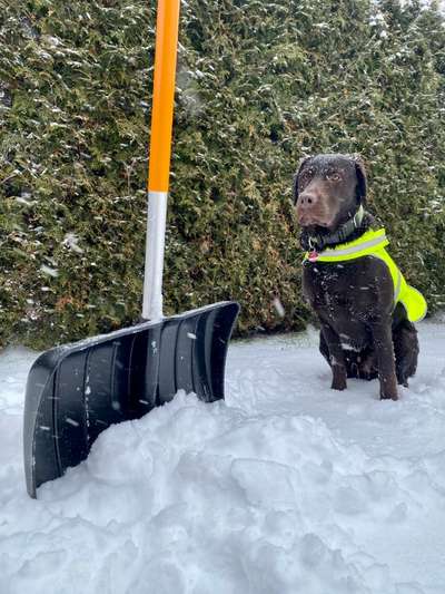 Challenge Nr. 15
Spiel im Schnee-Beitrag-Bild