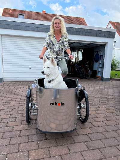 Lasten Fahrrad mit Hunden-Beitrag-Bild