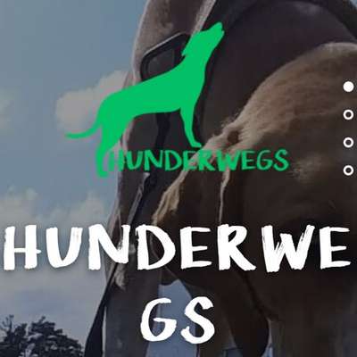 Geschäft Zughundesport Hannover-Beitrag-Bild