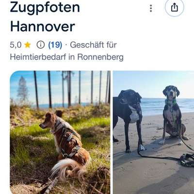 Geschäft Zughundesport Hannover-Beitrag-Bild