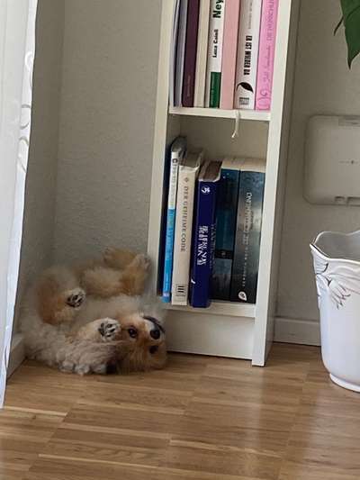 Die unbequemsten und lustigsten Schlafpositionen-Beitrag-Bild