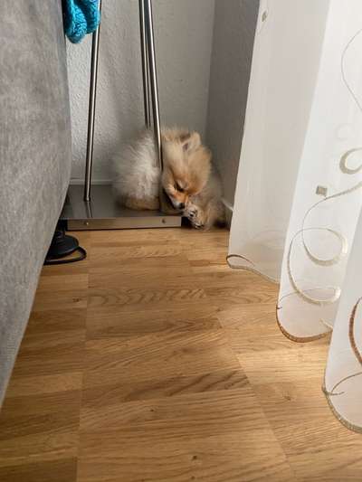 Die unbequemsten und lustigsten Schlafpositionen-Beitrag-Bild