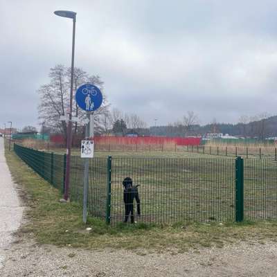 Hundeauslaufgebiet-Paudorf Bahnhof-Bild