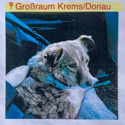 Suchmeldung-Appleberry-Bild