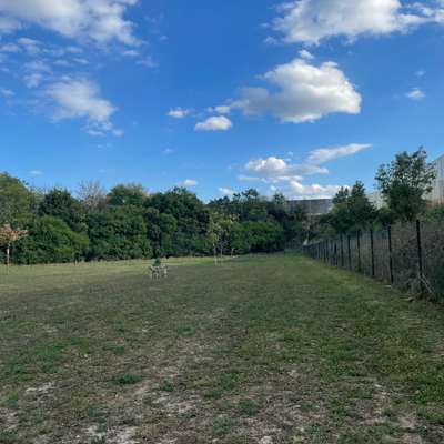 Hundeauslaufgebiet-Biedermannsdorf (Nähe Hubertuskapelle/Mühlengasse/Pfadfinderhaus)-Bild