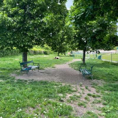 Hundeauslaufgebiet-Hundezone Friedhof-Bild