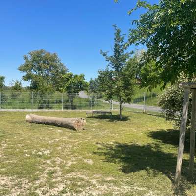 Hundeauslaufgebiet-Hundezone Freizeitpark/Donaulände-Bild