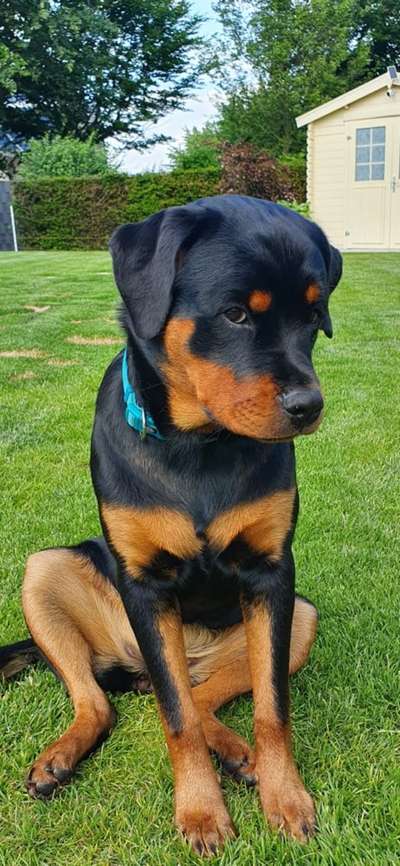 Fotochallenge 61 ~ Schnee-Beitrag-Bild