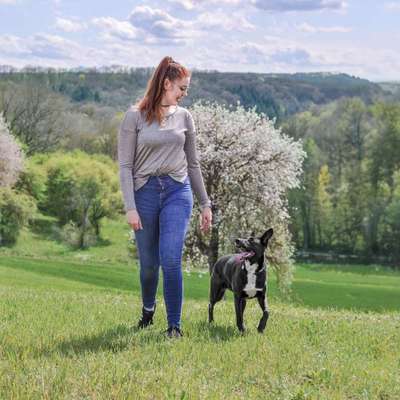 Hundetreffen-Social Walk-Bild