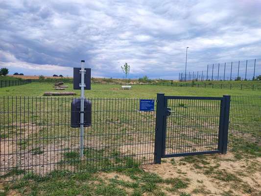 Hundeauslaufgebiet-Hundewiese Boltenhagen-Bild