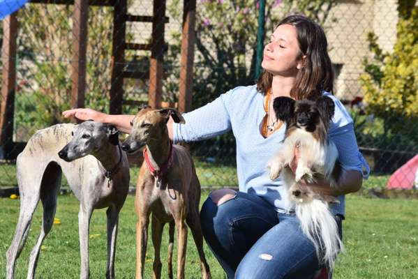 Windhunde - Treffen der besonderen Schönheiten
HERZLICH WILLKOMMEN-Beitrag-Bild