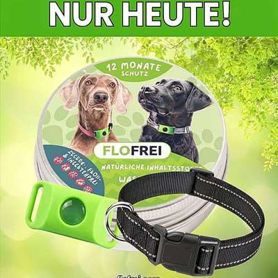 Zecken Schutz-Beitrag-Bild
