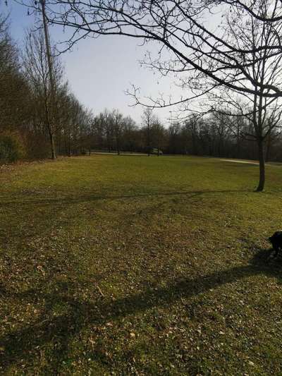 Hundeauslaufgebiet-Oberdürrbacher Str-Bild