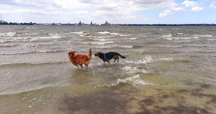 FOTOCHALLANGE NR.71 BADEFREUDE-Beitrag-Bild