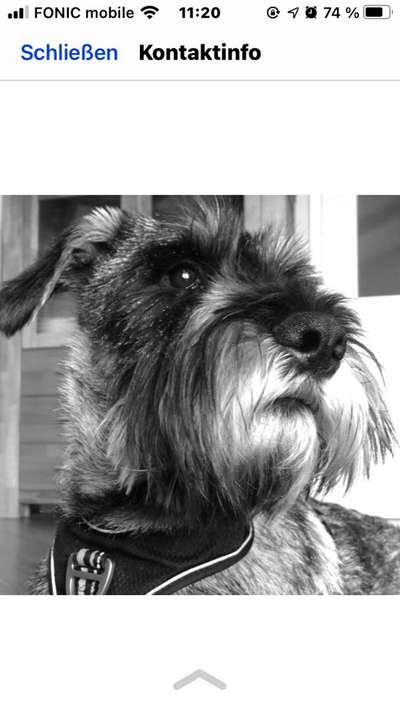 Foto-Challenge 76: Foto in Schwarz-Weiss-Beitrag-Bild