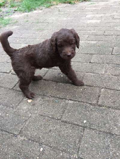 28. Handy-Fotochallenge - Damals und heute-Beitrag-Bild