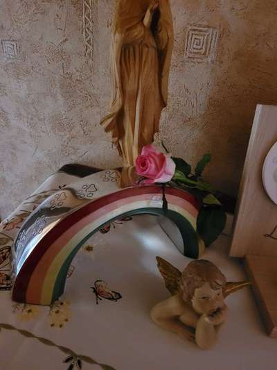 Unsere Fellnasen im Regenbogenland-Beitrag-Bild