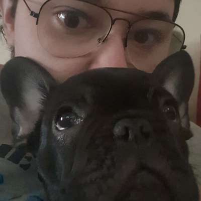 Hundetreffen-Spazier/Spiel Treffen-Profilbild