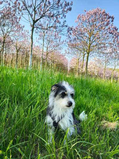 17. Farben Foto Challenge: Pastellfarben-Beitrag-Bild